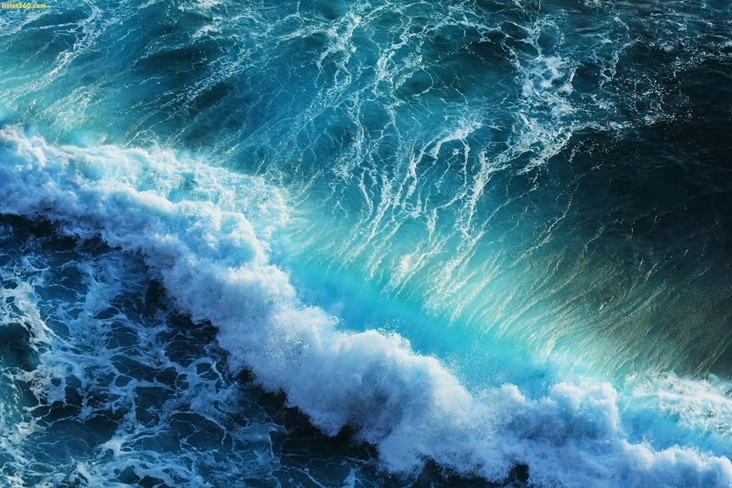 Tin mới nhất về vùng áp thấp ngoài khơi, Biển Đông khả năng sắp đón bão