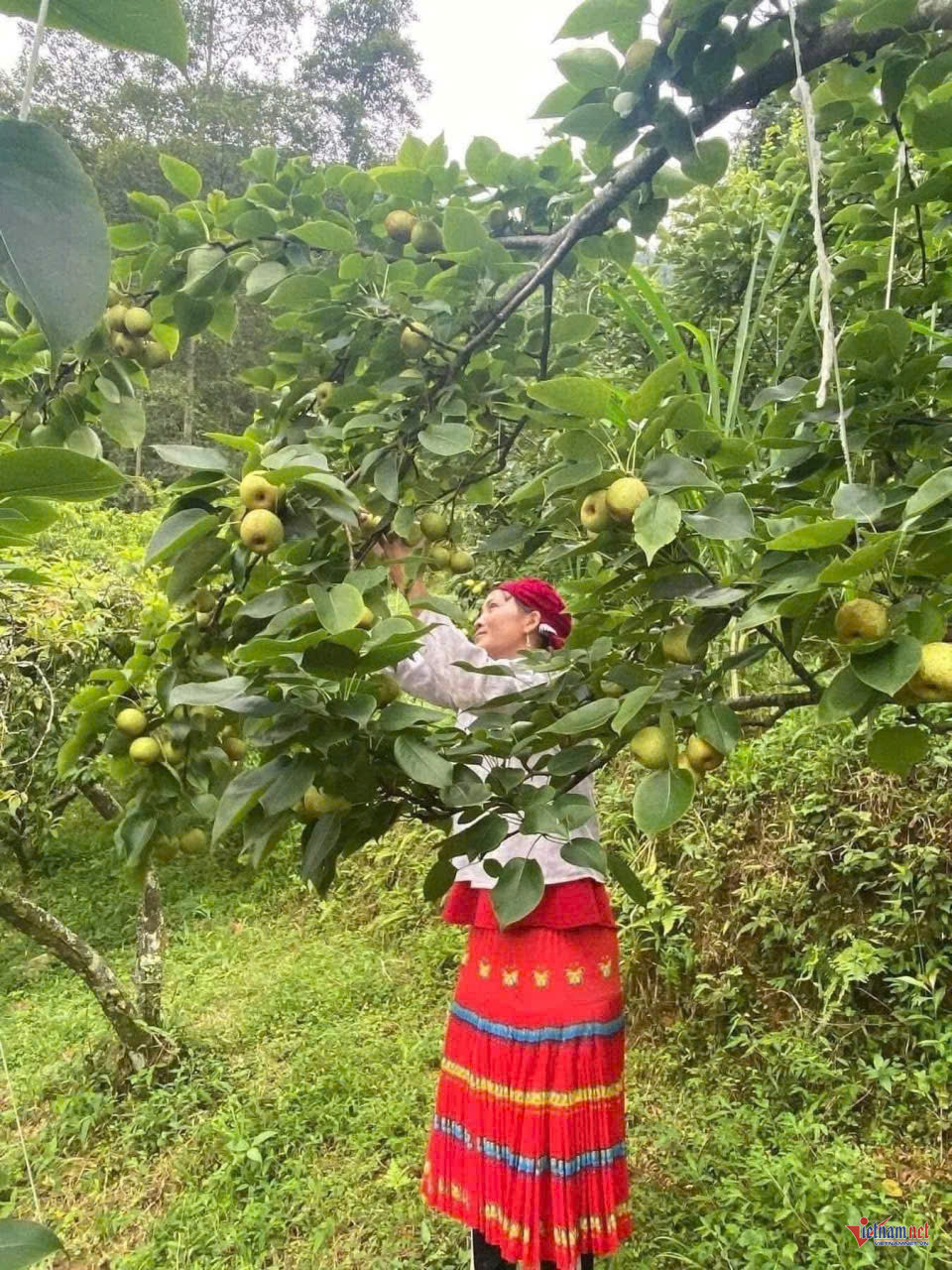 W-anh bai 26 chuan.jpg