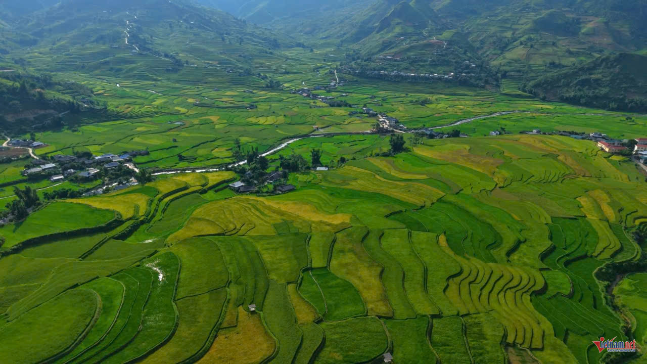 W-anh bai mu cang chai.jpg