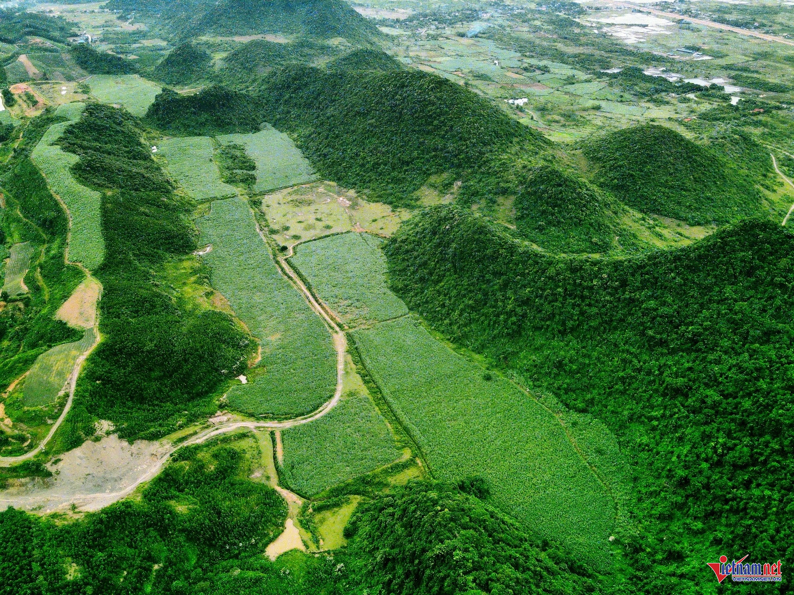 W-Bản Mét 1.jpg