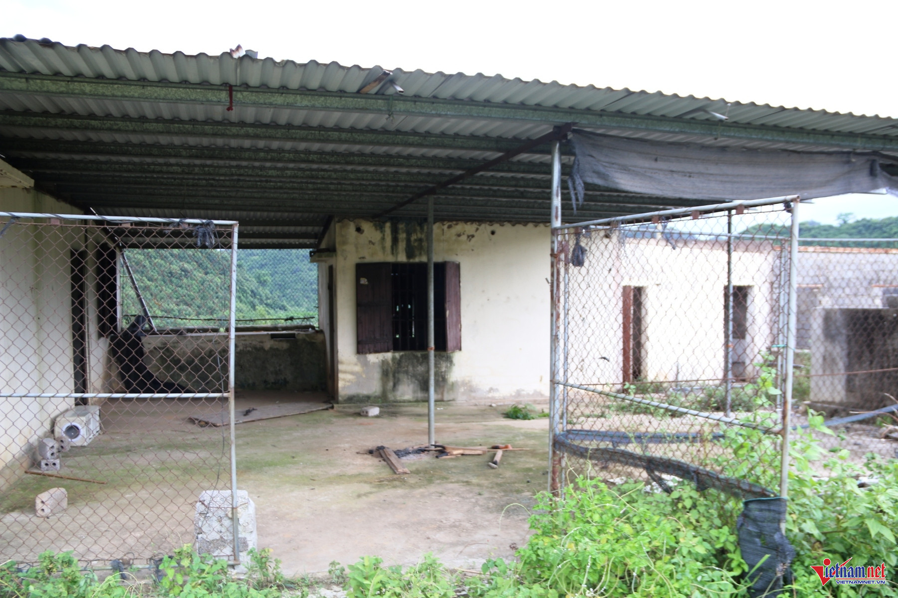 W-Bản mét 5.JPG.jpg