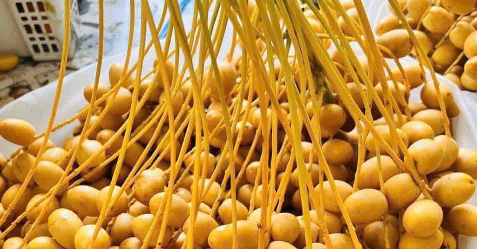 5 tác dụng của chà là tươi, nên ăn mấy quả mỗi ngày?