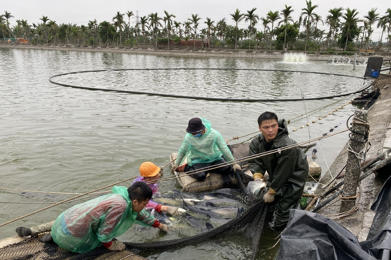 Hải Phòng đầu tư hạ tầng công nghệ, hỗ trợ nông dân chuyển đổi số