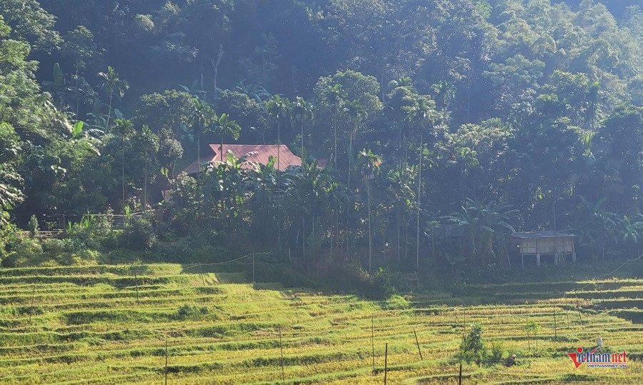 W-620e90d8 5d95 4e6c acfe 3ff4bc1679b7.jpg