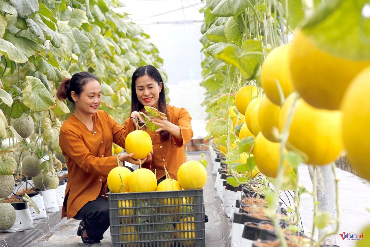 W-anh bai 15 hai phong.jpg