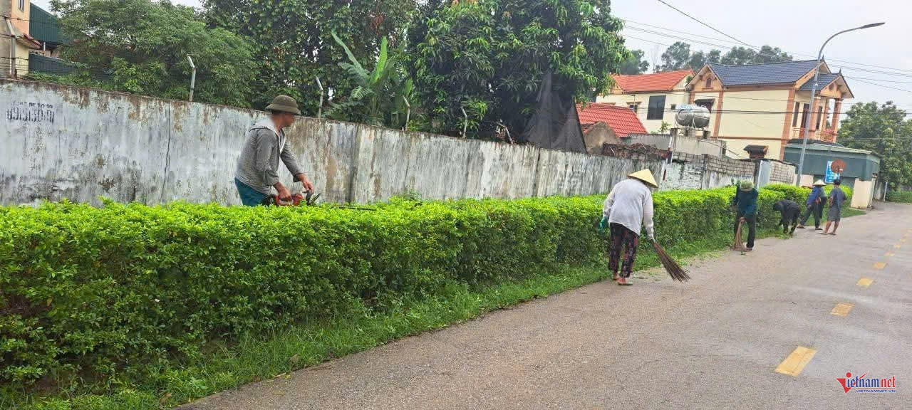 W-anh tin than hoa.jpg