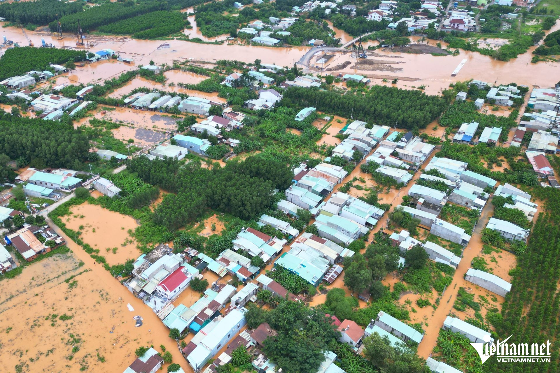 W-ngap phuoc tan4.jpg