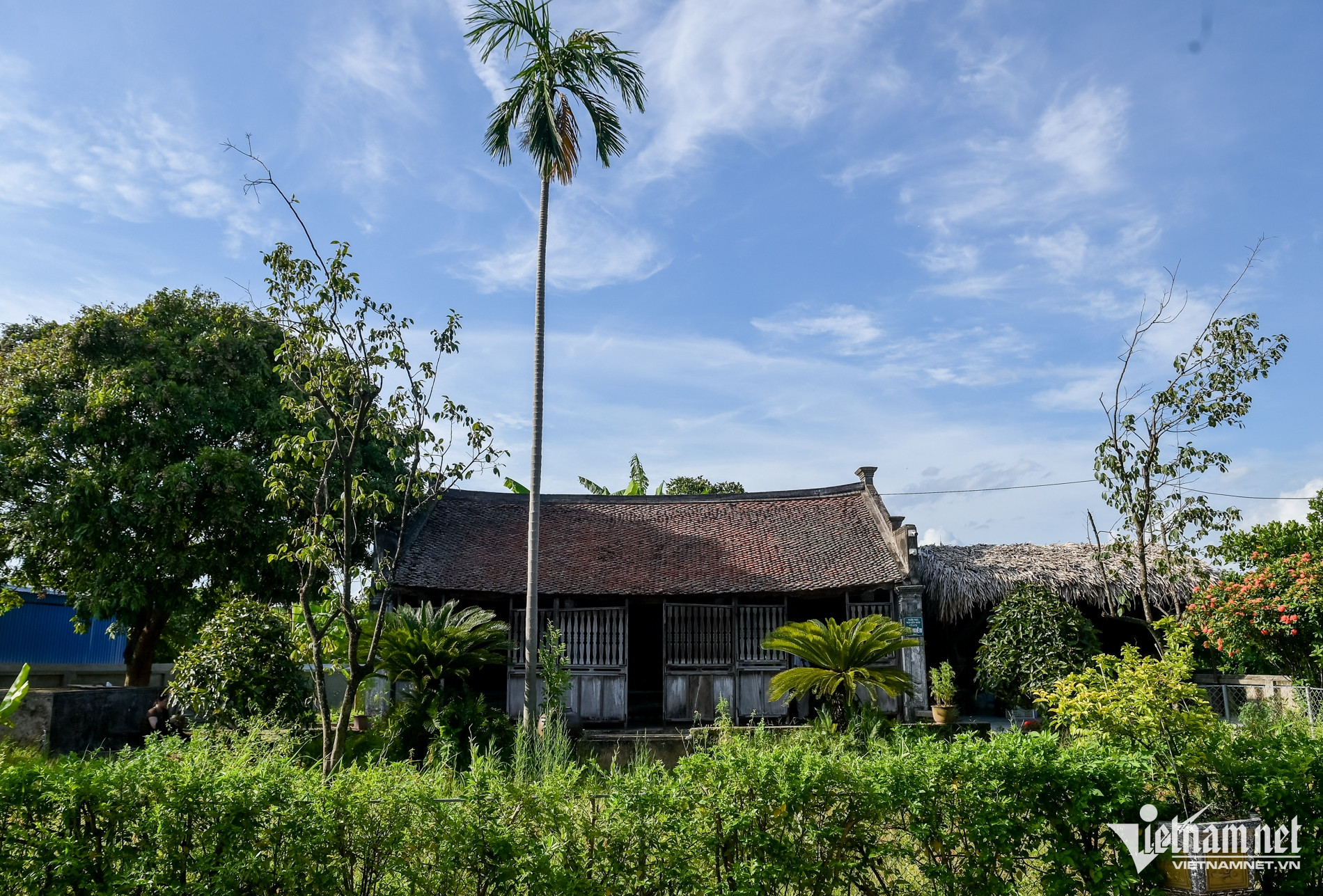 W-Nhà bá kiến.jpg