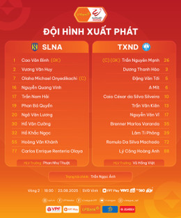 slna vs nam dinh.jpg