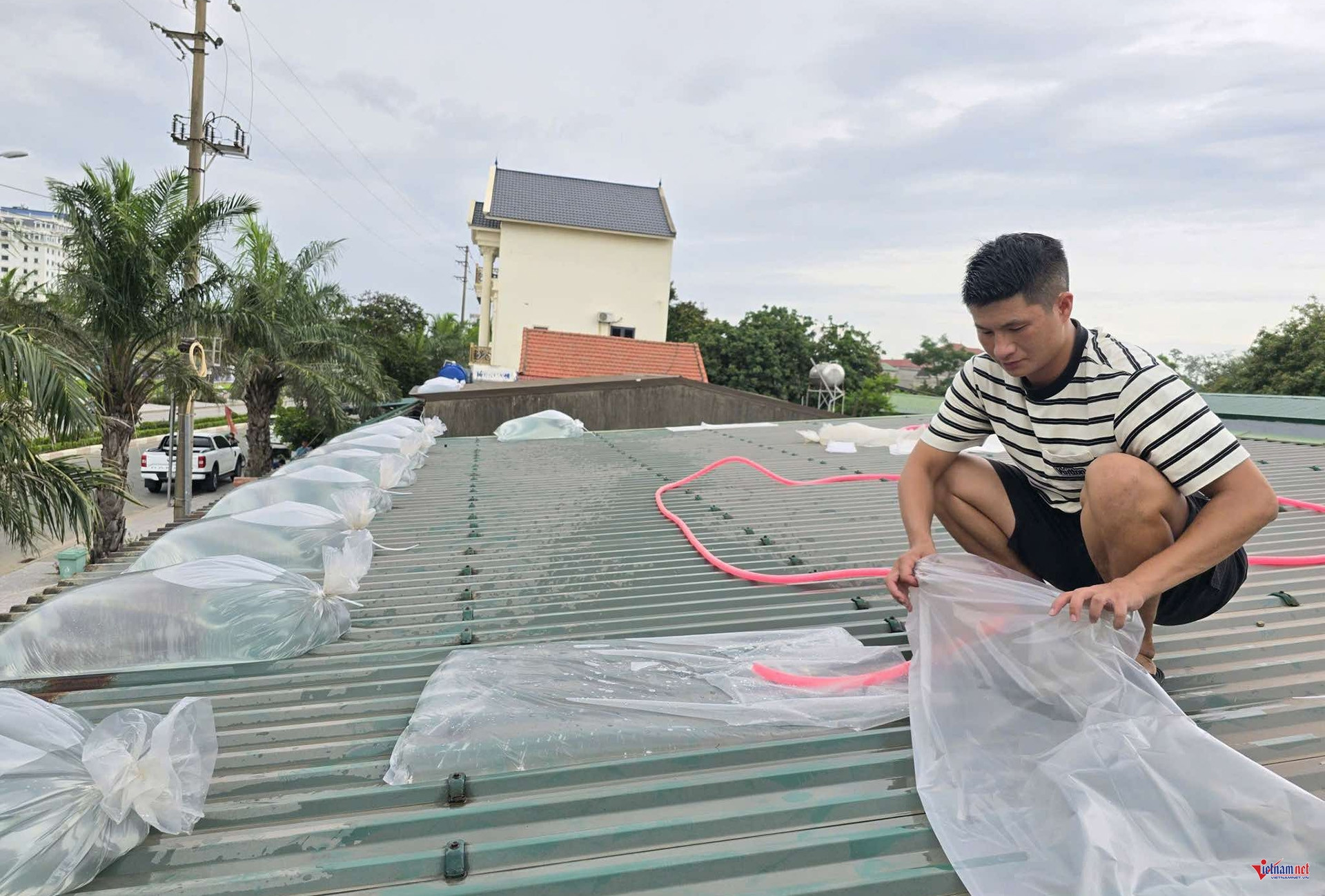 536297215 1108637723962221 7452032837729834717 n copy 1417.jpg