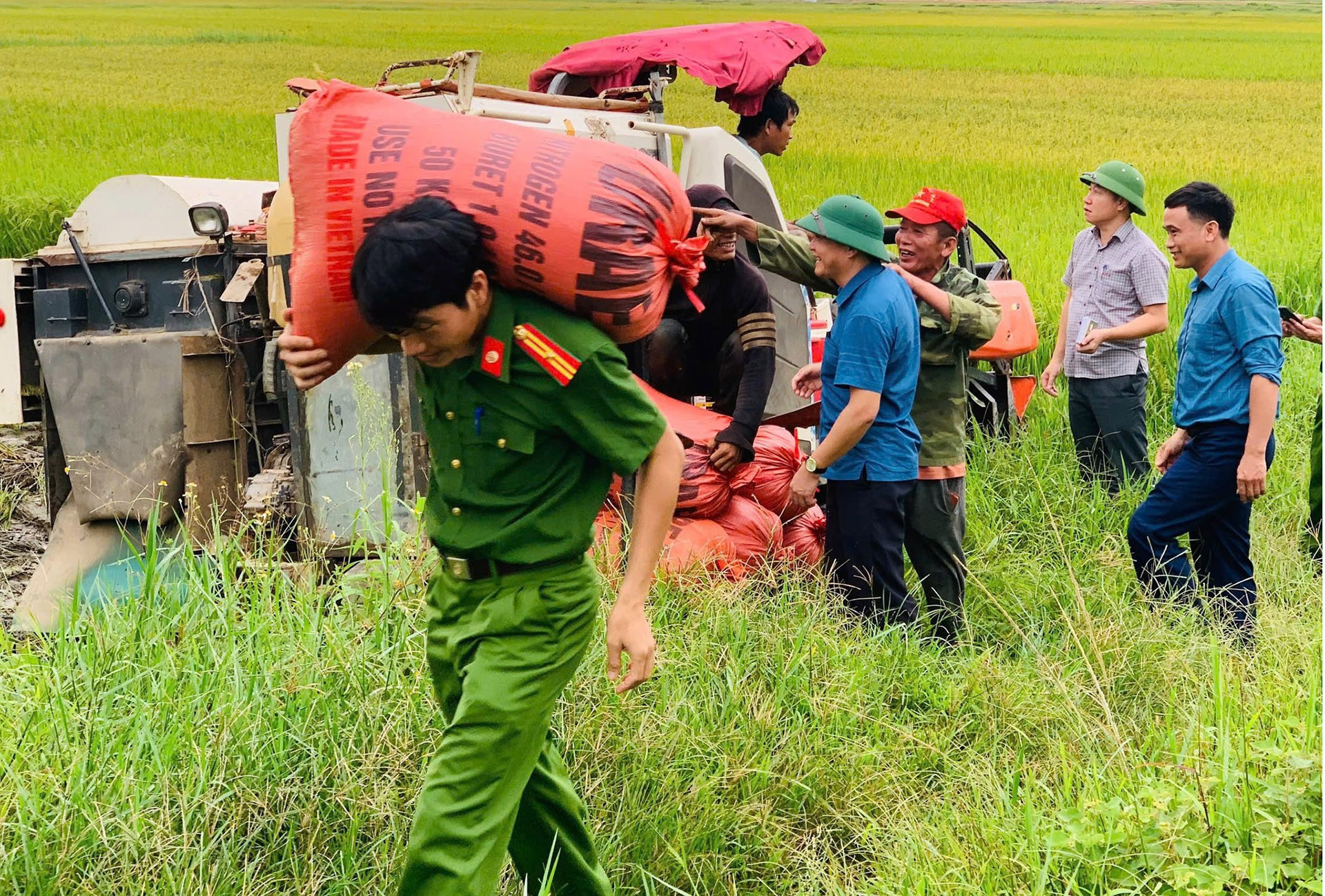 536723130 1474326780816808 3961421778912381824 n copy 1440.jpg