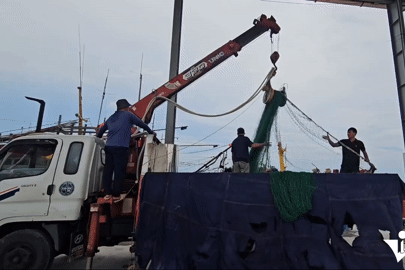 Cảnh tượng gấp rút trước bão số 5 ở Ninh Bình, ngư dân đồng loạt làm 1 việc