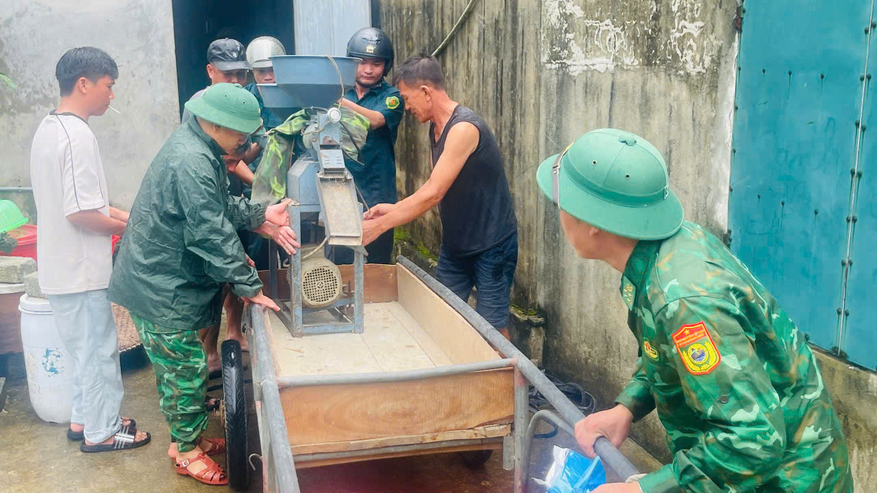 Di dời7.jpg
