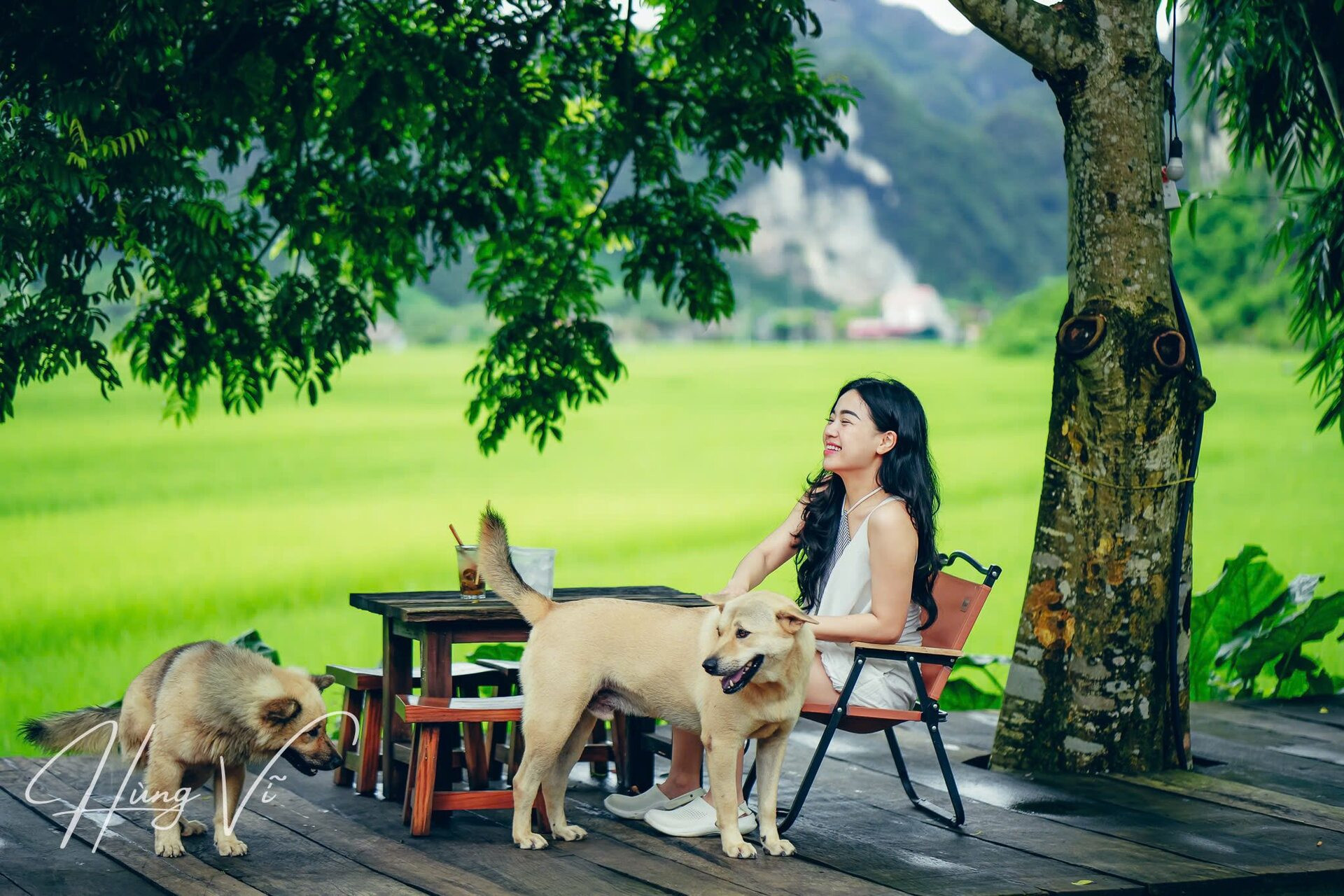 hữu lũng hái na