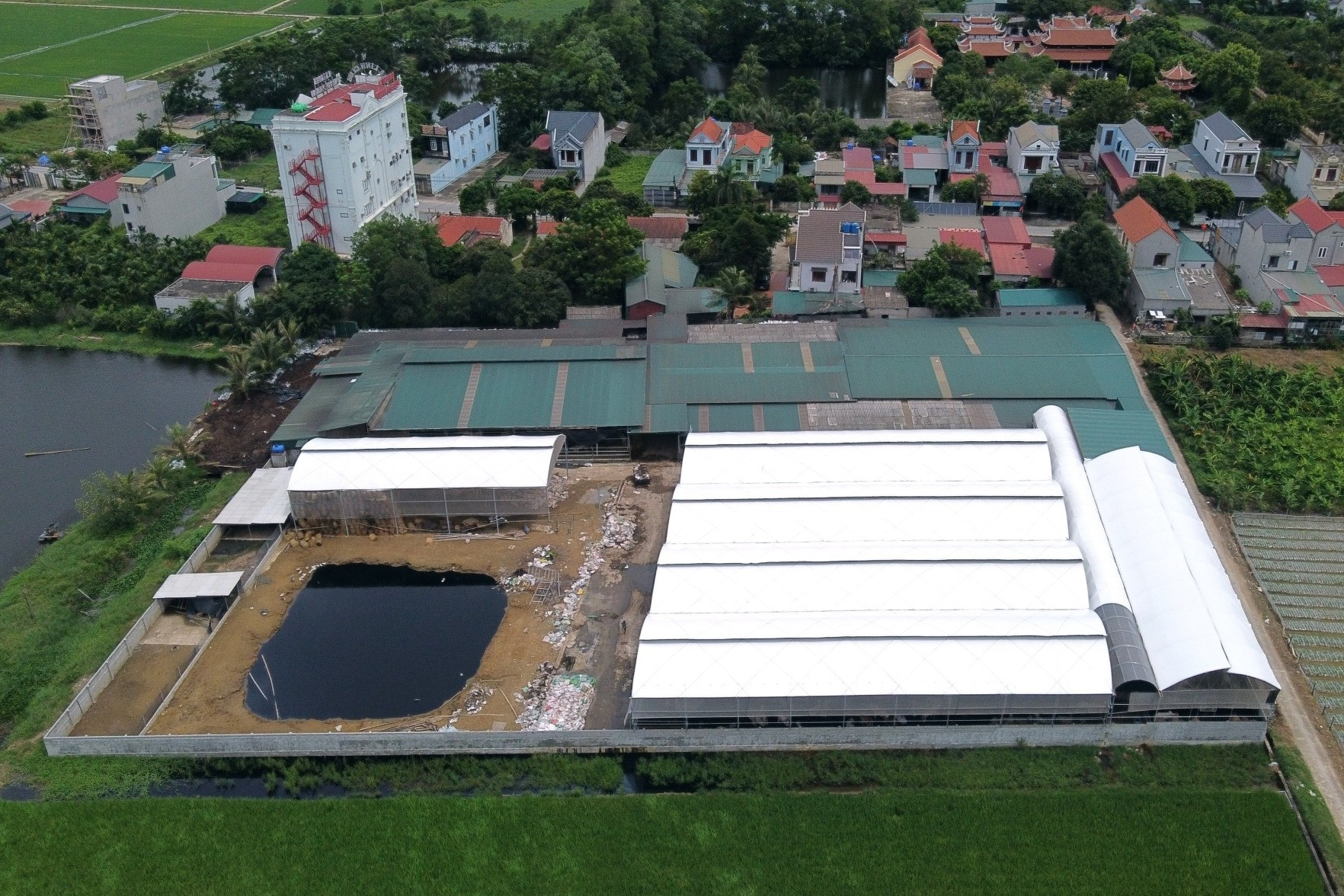 Ngột ngạt, cay mắt ở khu dân cư sống cạnh 400 con bò ở Thanh Hóa