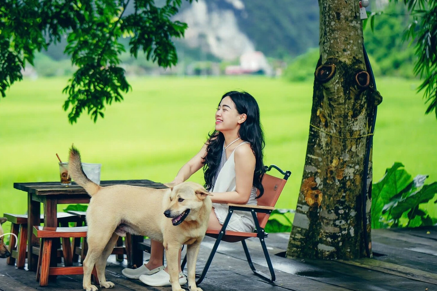Trốn phố về thung lũng cách Hà Nội 2 giờ lái xe, hái trái đặc sản đang chín rộ
