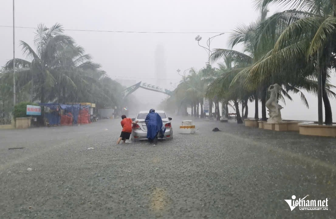 w a3mua lon keo dai nhieu noi o thanh hoa 1159.jpg