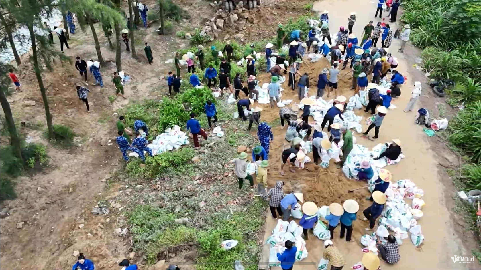 W-Đê điều xuân hải.jpg