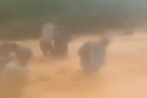 Clip cán bộ xã ở Nghệ An vượt nước lũ đục ngầu di dân trong mưa gió