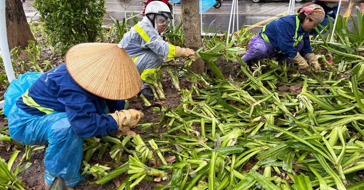 Sẽ xử lý hành vi giẫm nát cây, vứt rác bừa bãi trong các buổi tổng hợp luyện