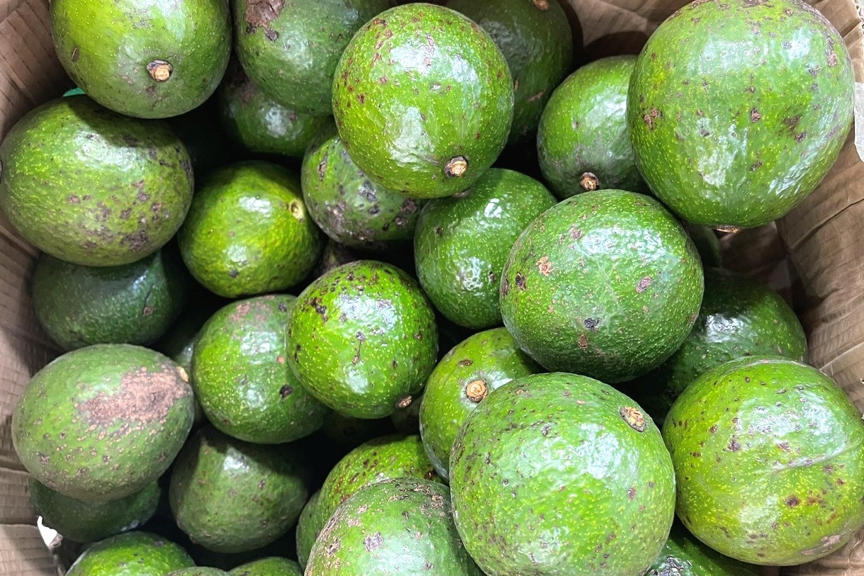 Bán nông sản thu 500 triệu đồng/tháng, có cần đăng ký hộ kinh doanh?