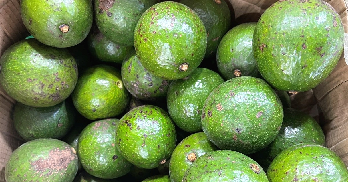 Bán nông sản thu 500 triệu đồng/tháng, có cần đăng ký hộ kinh doanh?