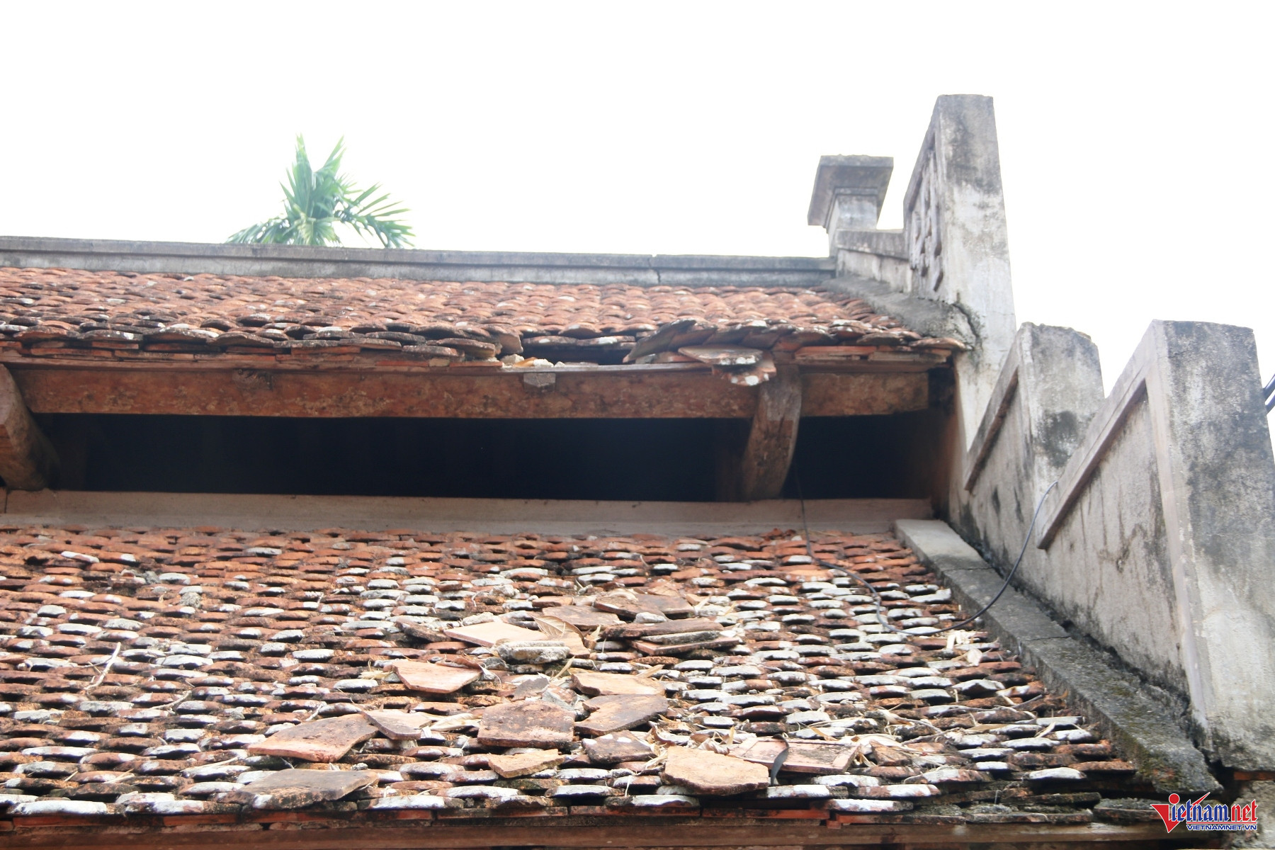 W-Am Trạch 2.JPG.jpg