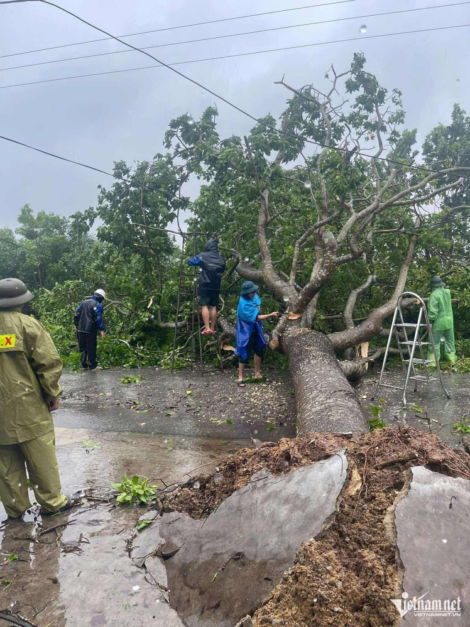 W-Ảnh 20 Bão số 5.jpg