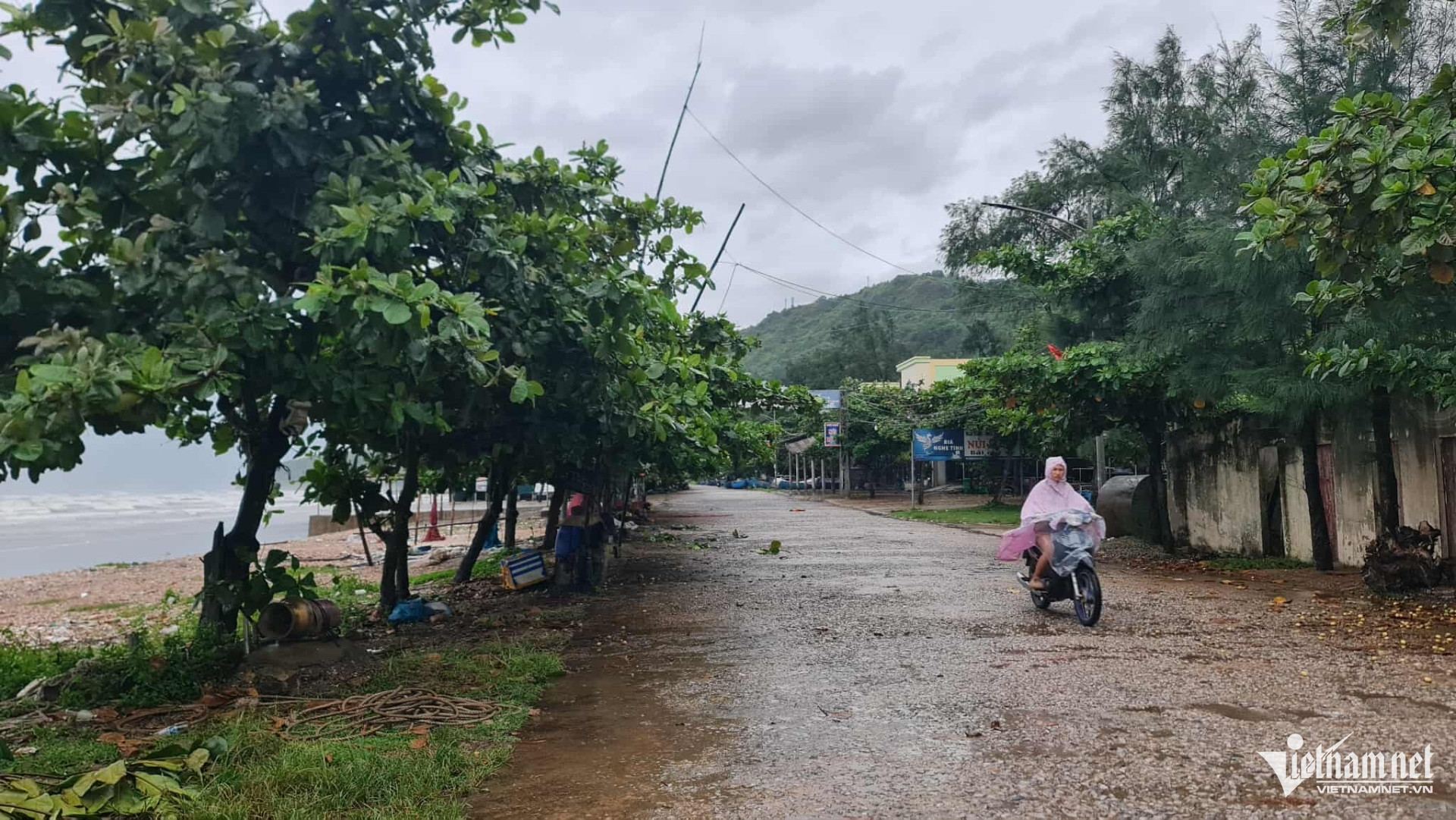 W-P6 536396564_1419808295947394_25712570560171958_n.jpg