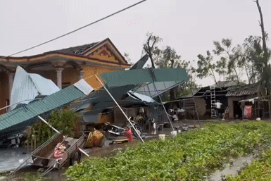 Bản tin trưa 26/8: Mở cửa nhà sau bão số 5 dị thường, người dân Hà Tĩnh oà khóc