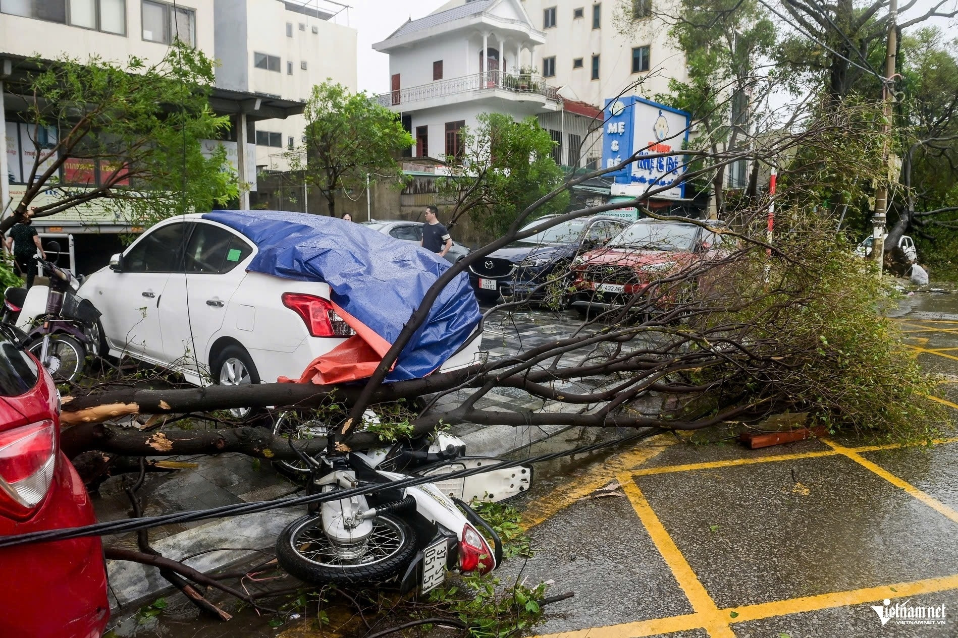 Cận cảnh đường phố xác xơ sau bão số 5 dị thường