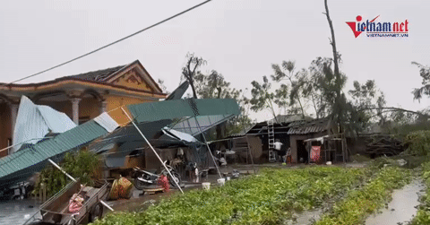 Mở cửa nhà sau cơn bão số 5 dị thường, người dâ...