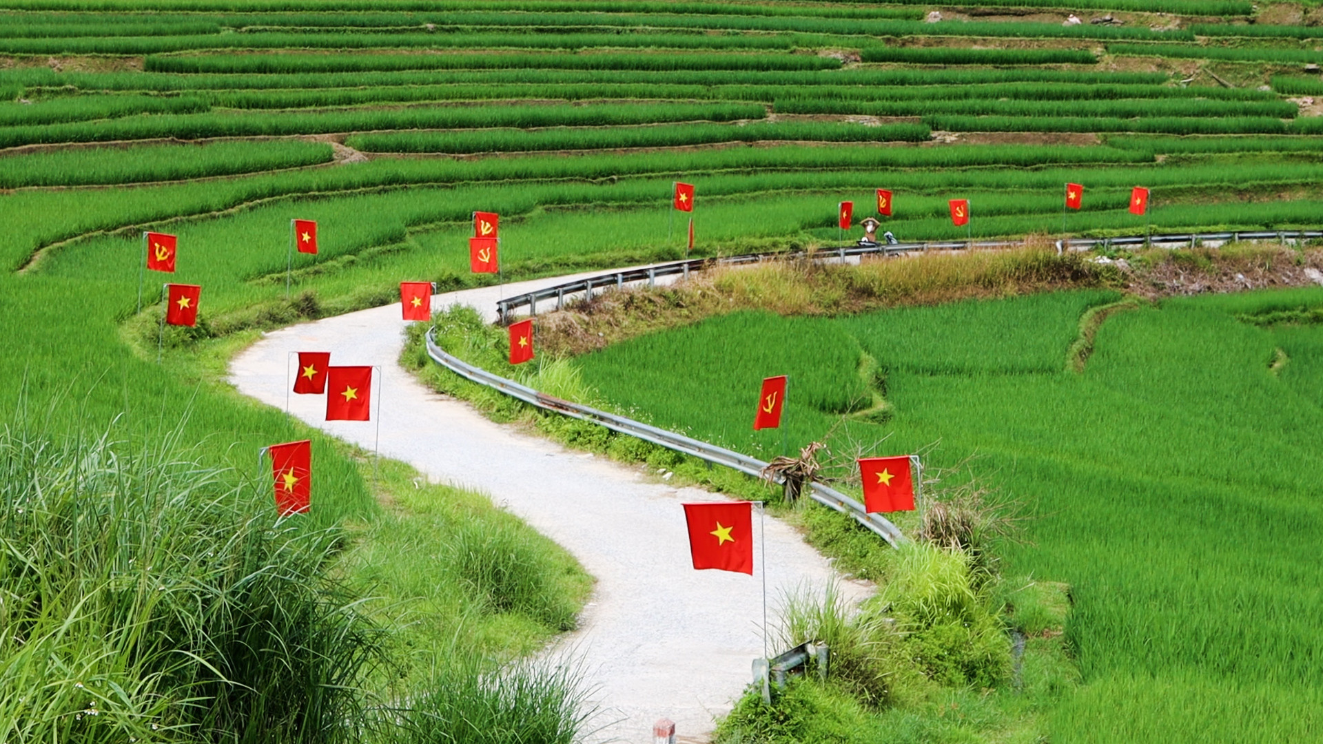 Du khách mê mẩn check-in con đường cờ đỏ sao vàng đẹp như tranh dịp Quốc khánh