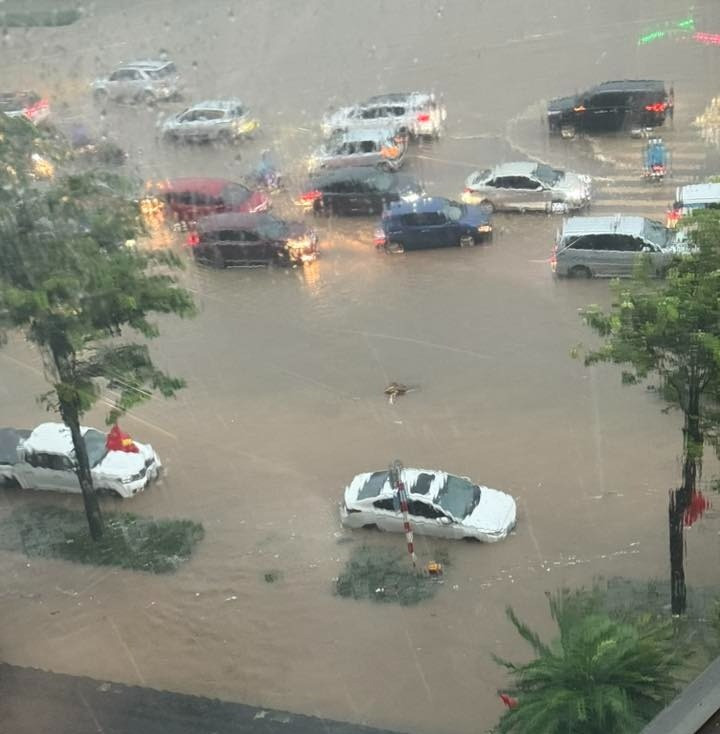 Pham Tu Ha Ngo.jpeg