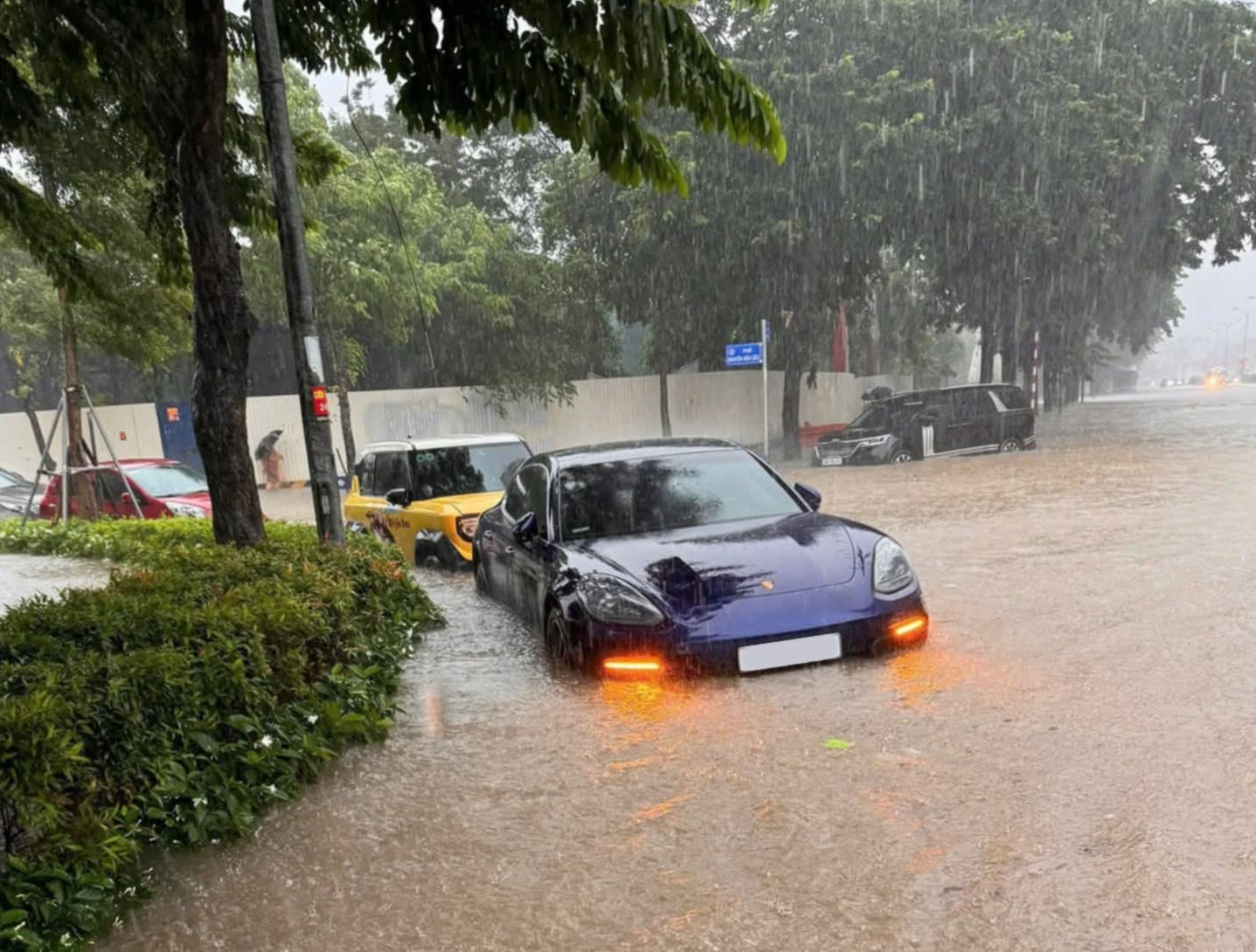 Porsche ngap.jpg