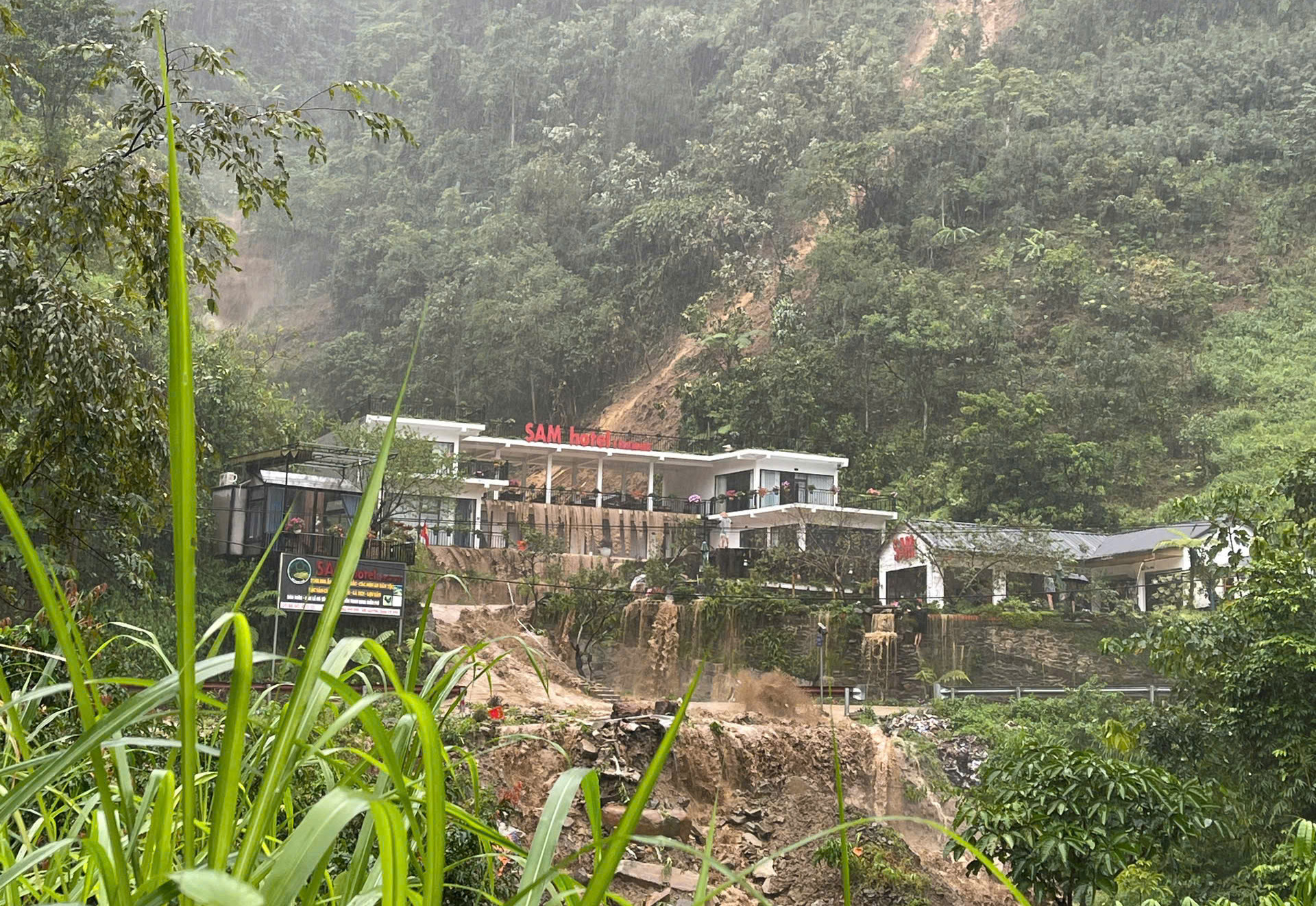 tu le.jpg