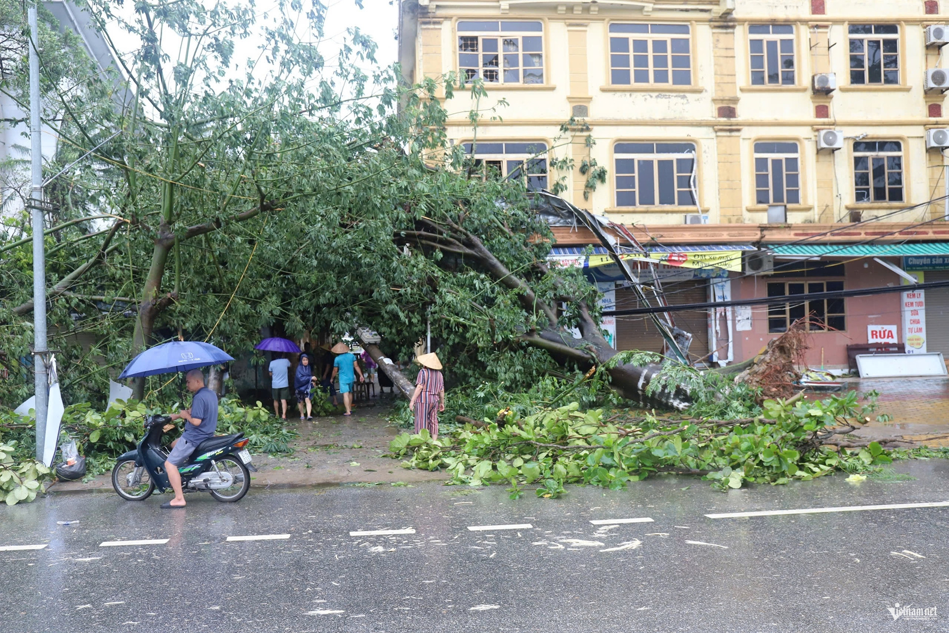 W-Điện lực Vinh.jpg