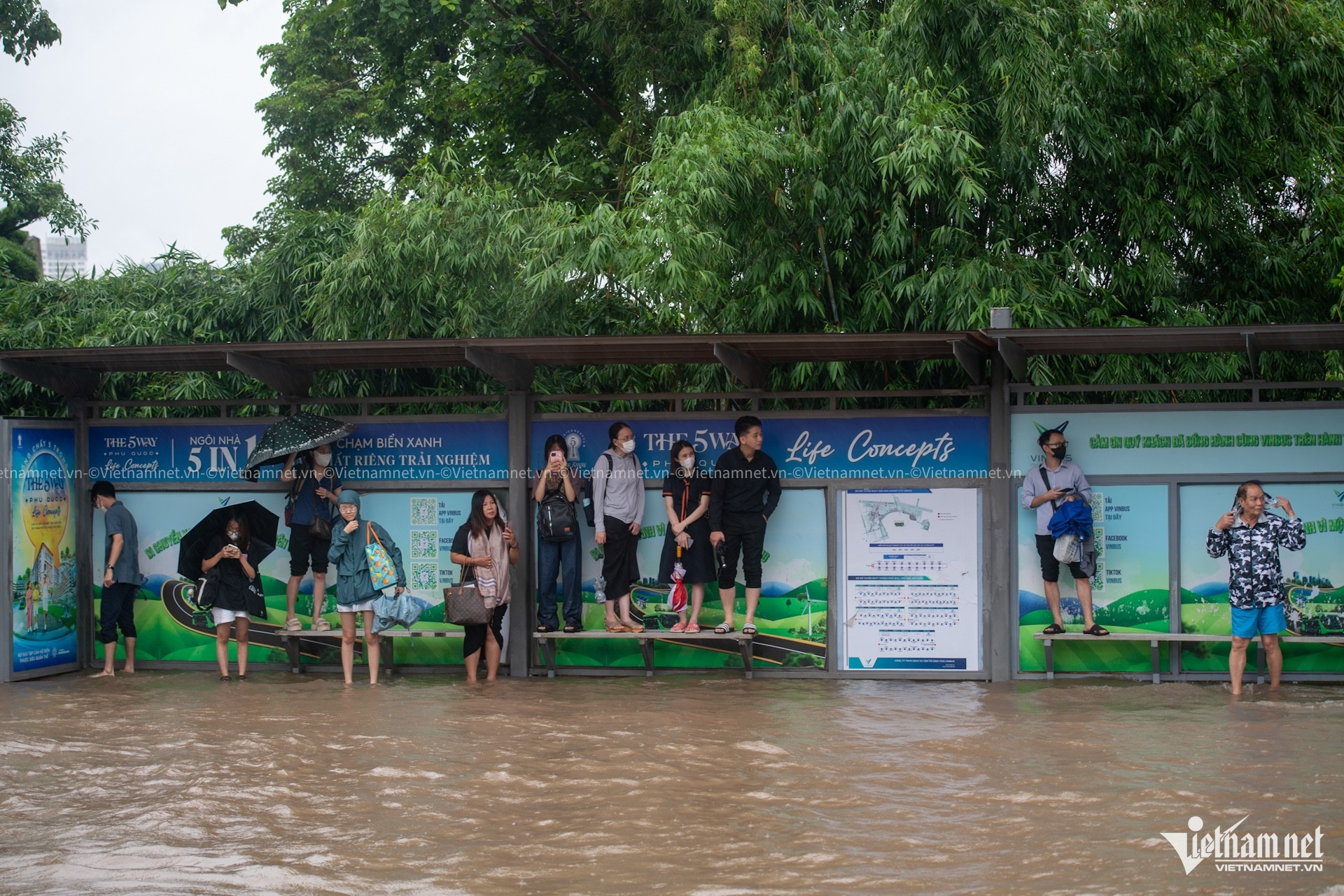 W-mưa ngập thế bằng20.jpg