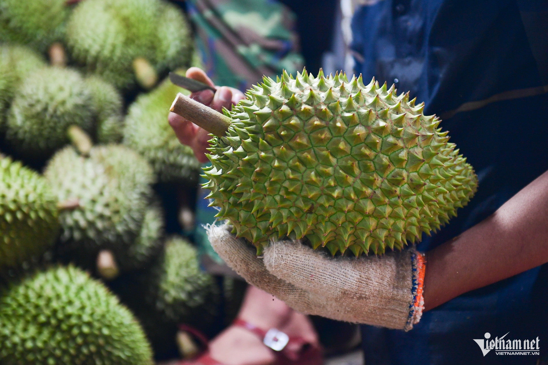 W-sau rieng.jpg