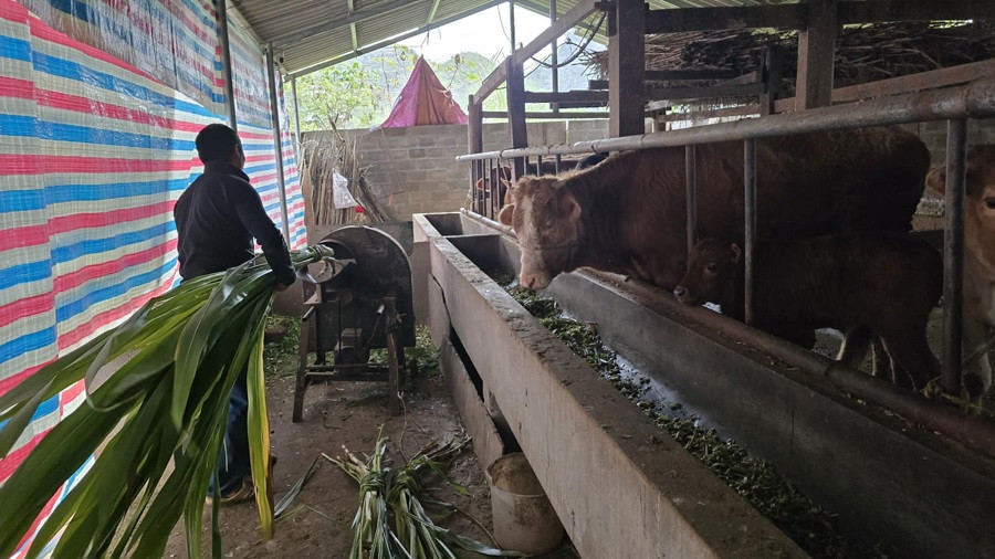 0295d353 23e0 4384 8594 3cf6564dd706 (1).jpg