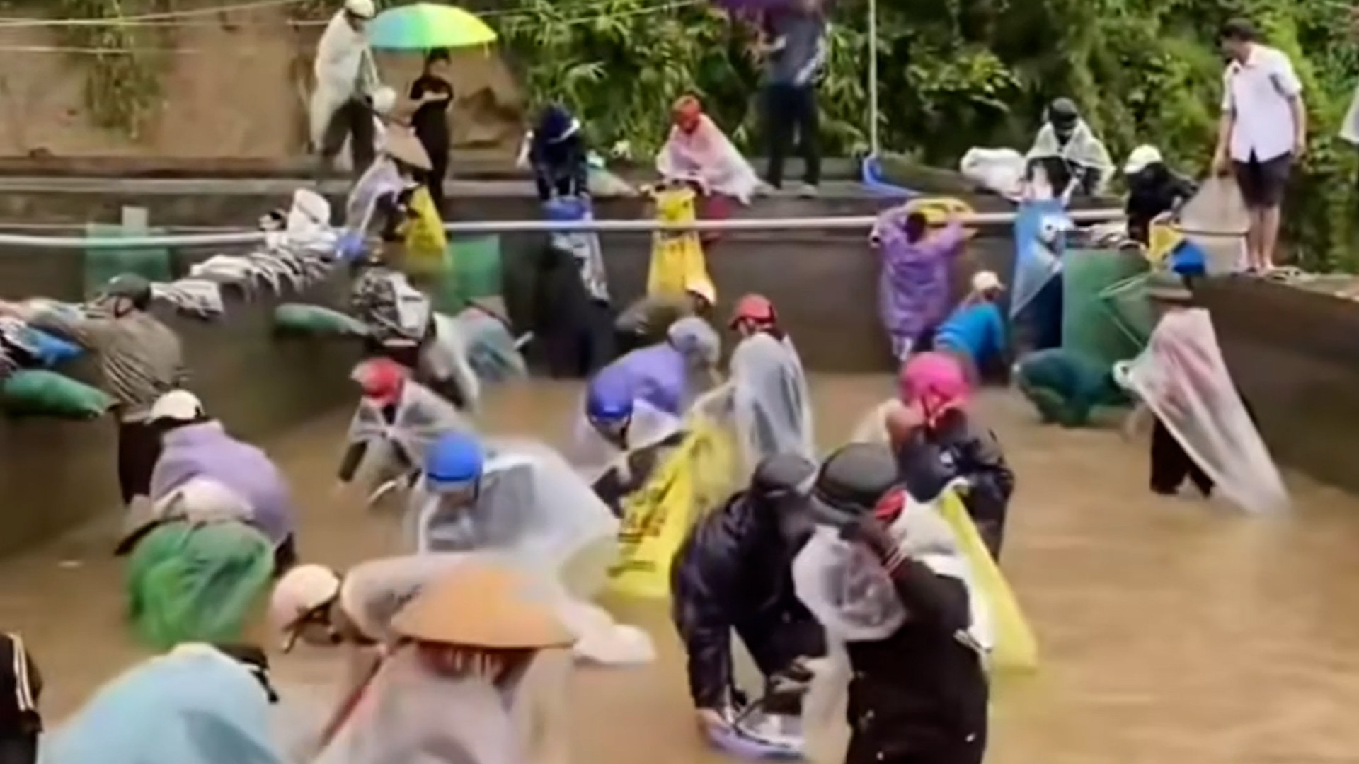 ca tam lao cai.00_00_47_20.Still001.jpg