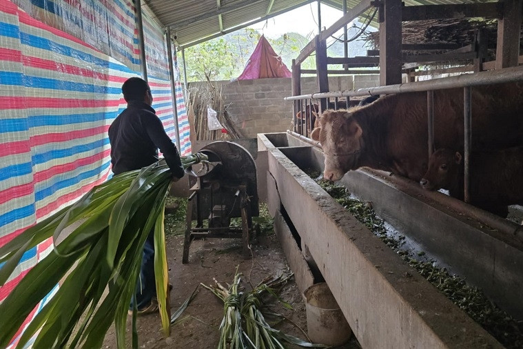 Cơi Quỳnh xây dựng nông thôn thông minh, kiểu mẫu
