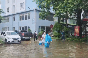 Cư dân Hà Nội nhìn loạt ô tô bị ngâm nước nhưng không còn cách nào đưa ra ngoài