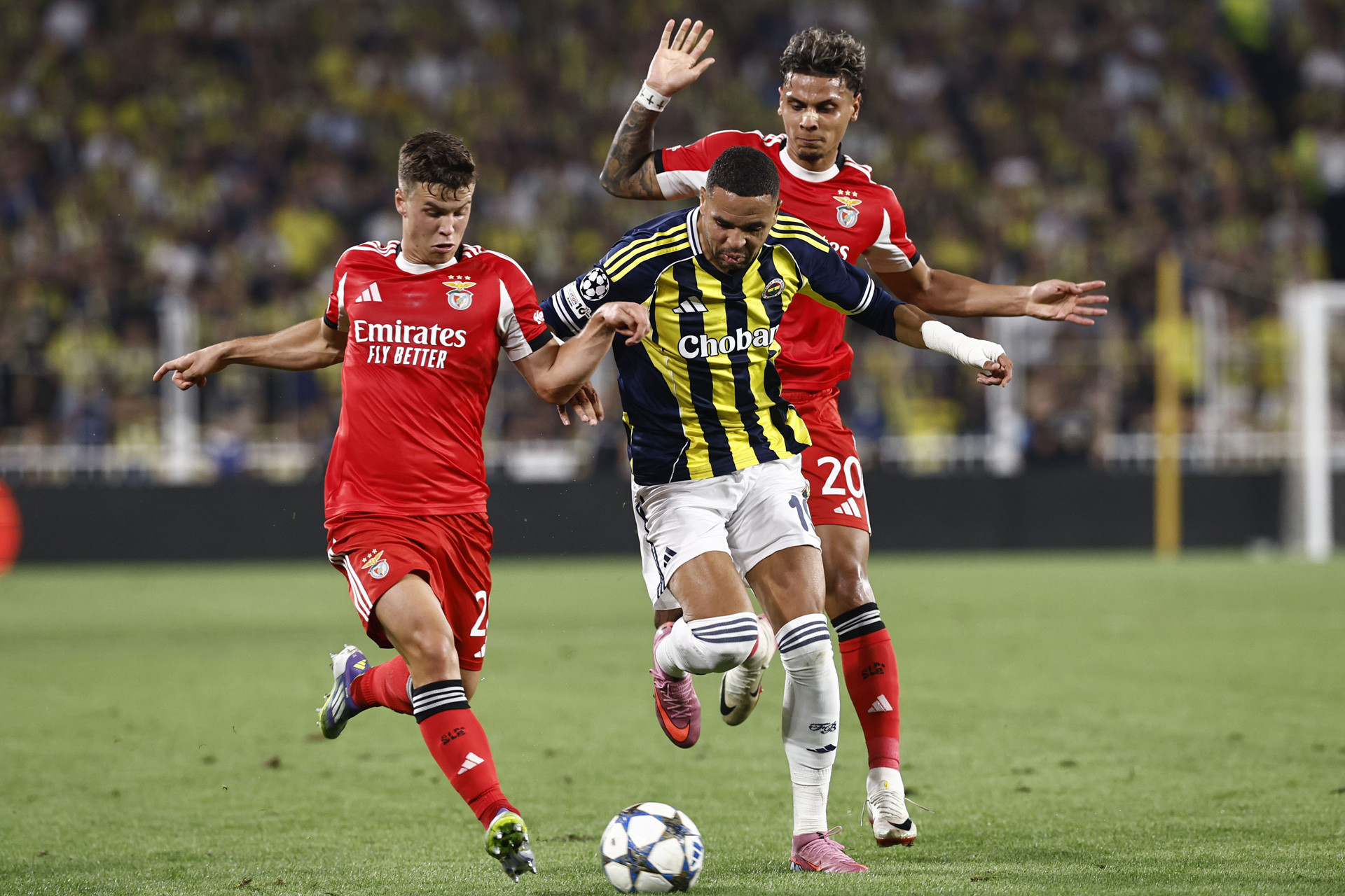 FSK - Fenerbahce Benfica Cup C1.jpg