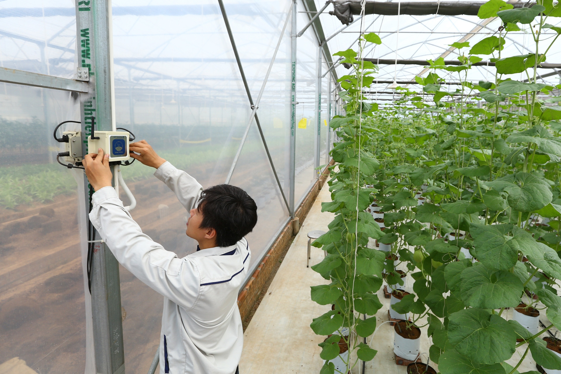 Ghi nhận vai trò công nghệ số giúp nâng cao chất lượng cuộc sống người dân ASEAN