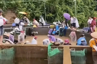Nữ chủ trại nói sự thật về thông tin cả chục người nhảy xuống bể 'hôi của' cá tầm
