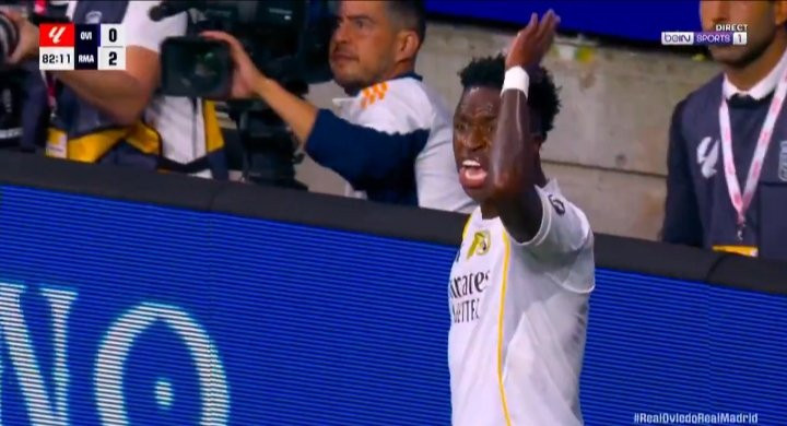 Vinicius Mister Seitan.jpg