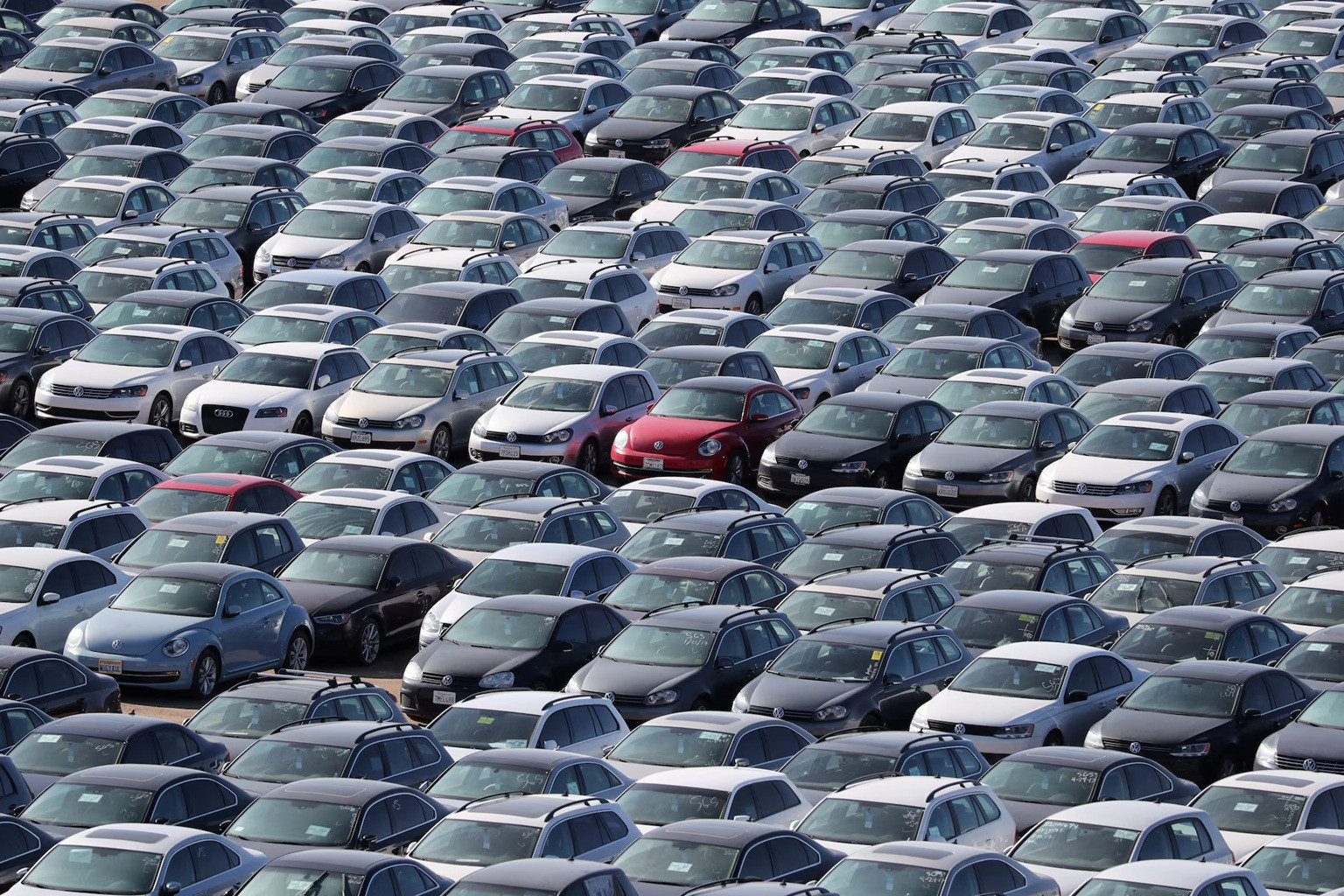 vw phu bui 3.jpg