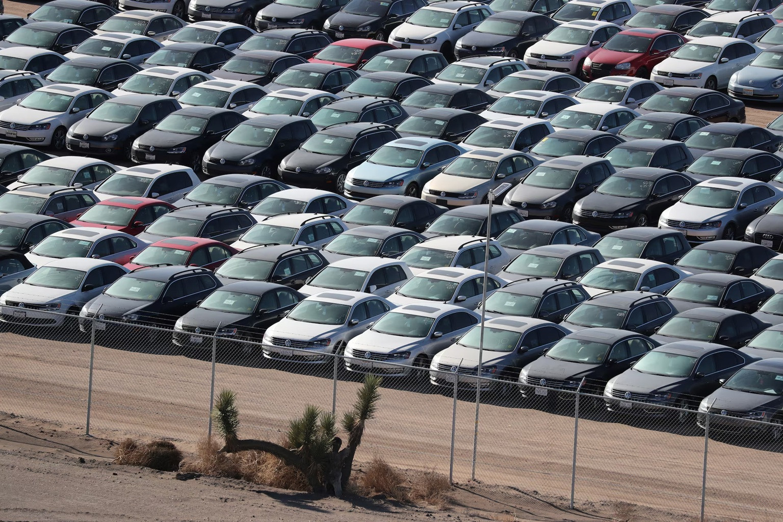 vw phu bui 7.jpg