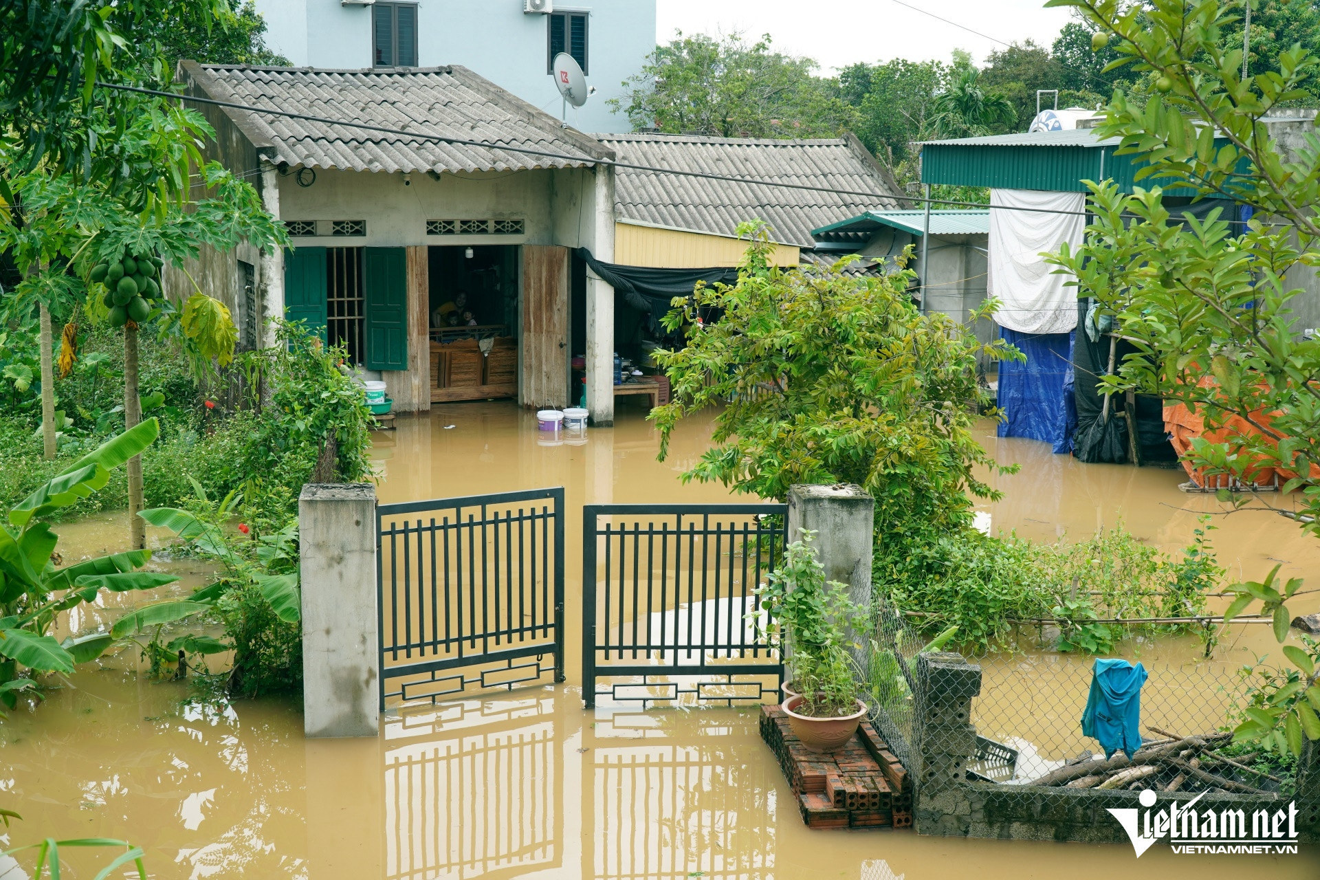 W-a3Tràn đê sông Bưởi ở Thanh Hóa.JPG.jpg